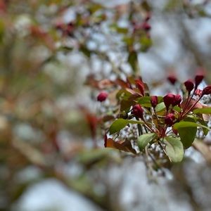 Meet your Posher, Alisha